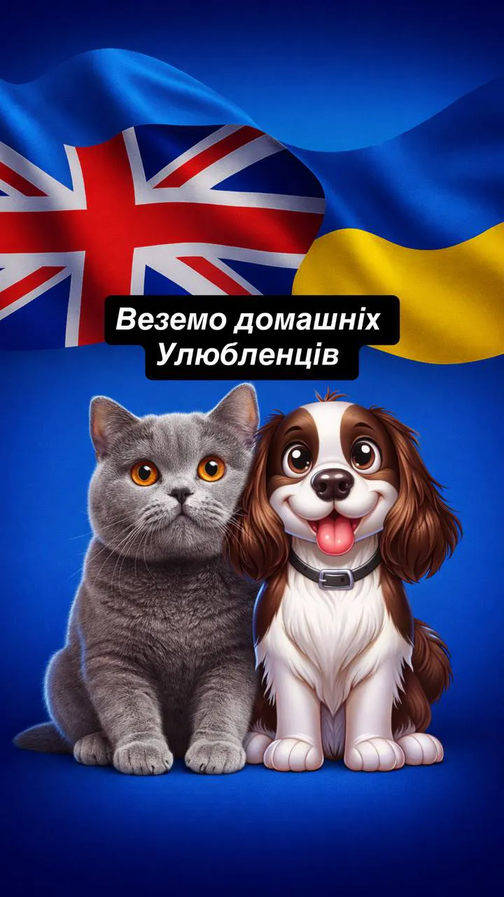 👋 Доброго дня, шановні клієнти! 🚐 ВИЇЖДЖАЄМО ЩОВІВТОРКА З УКРАЇНИ! Щонеділі з Англії!!